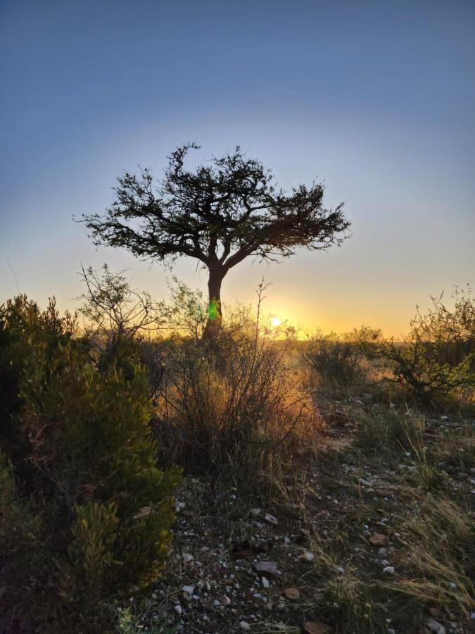 Leopard'S View Mountain Villa @ Steinheim Game Farm & Camping Prospect Εξωτερικό φωτογραφία